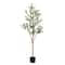5ft. Potted Artificial Olive Tree with Natural Trunk
